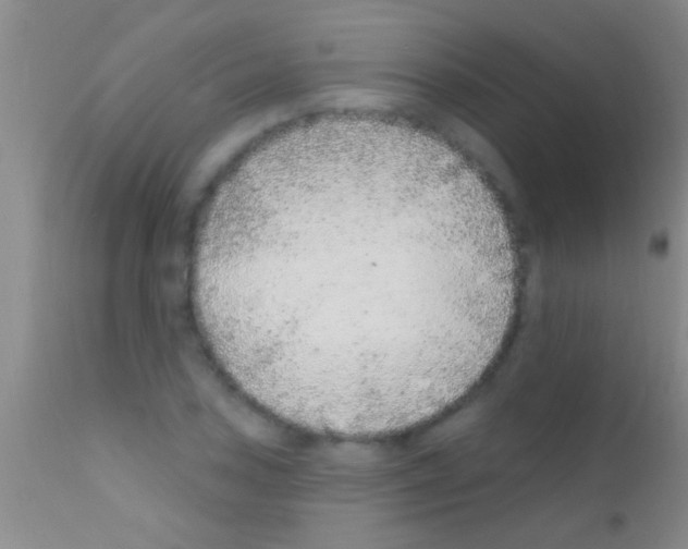 X0000111891027200909031900