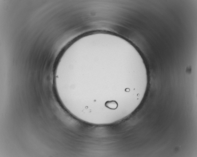 X0000111891028200909031900