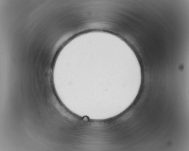 X0000111891029200909031900