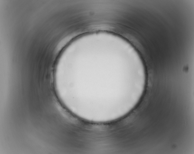 X0000111891031200909031900