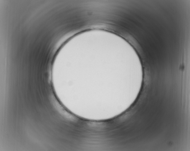 X0000111891036200909031900