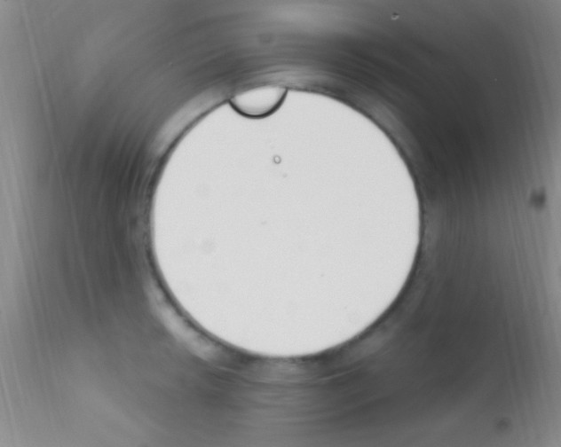 X0000111891042200909031900