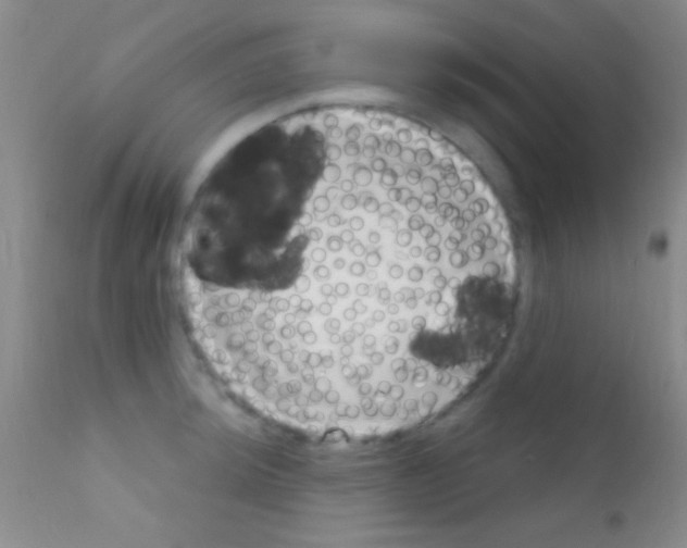 X0000111891044200909031900