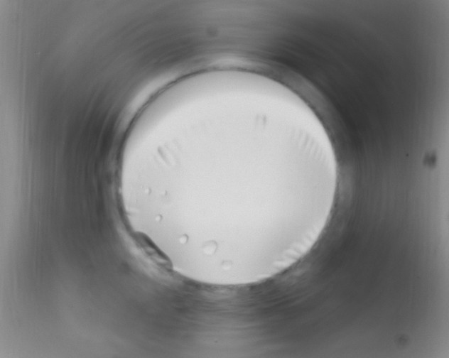 X0000111891048200909031900