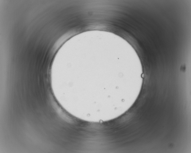 X0000111891050200909031900