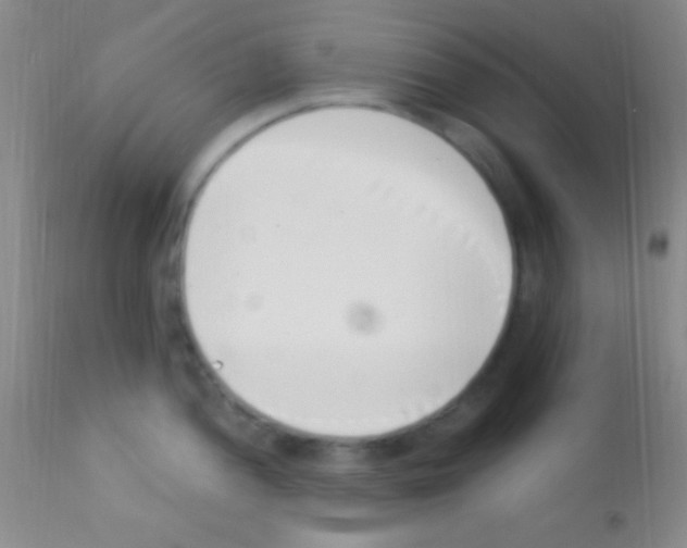 X0000111891052200909031900