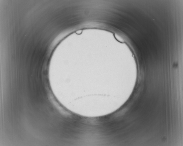 X0000111891053200909031900