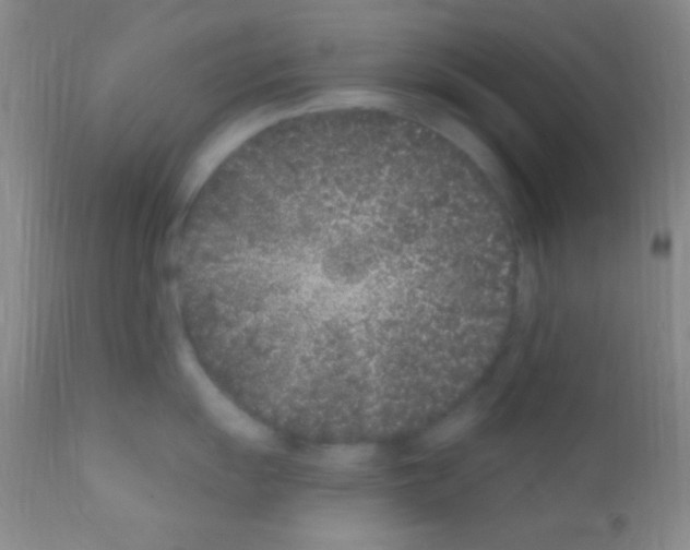 X0000111891055200909031900