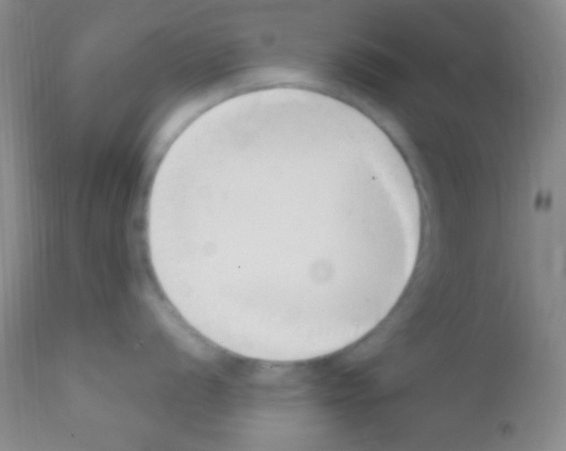 X0000111891056200909031900