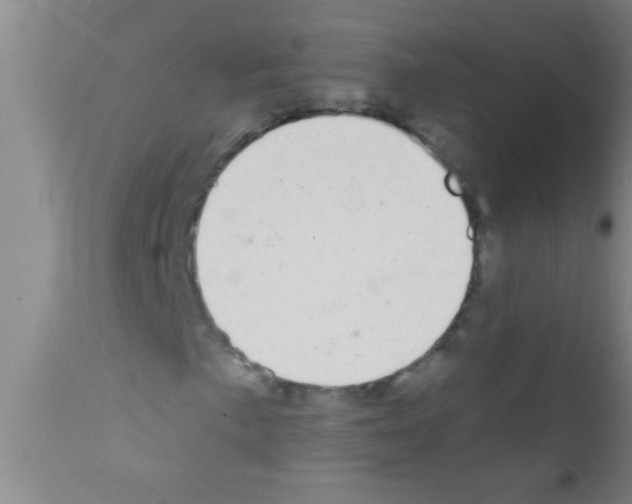 X0000111891057200909031859