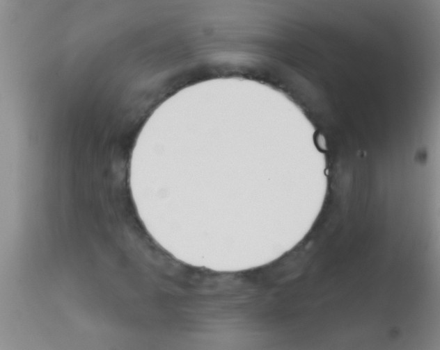 X0000111891061200909031859