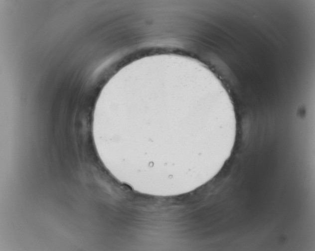 X0000111891064200909031859