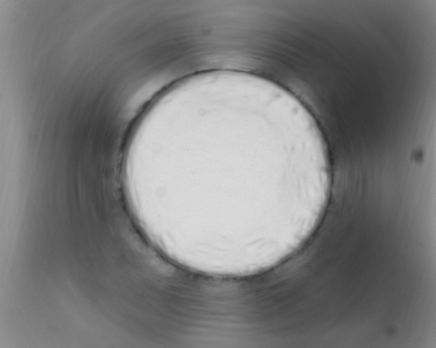 X0000111891071200909031859