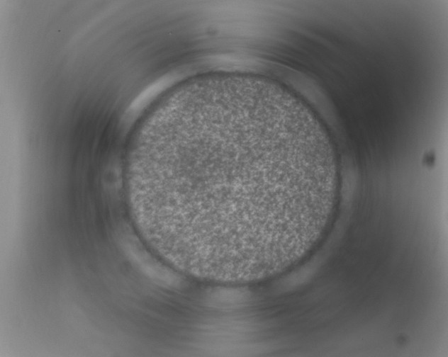 X0000111891074200909031859