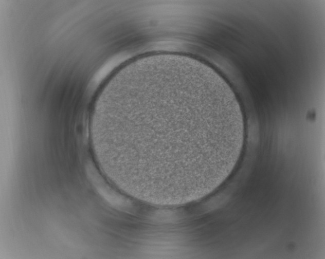 X0000111891078200909031859