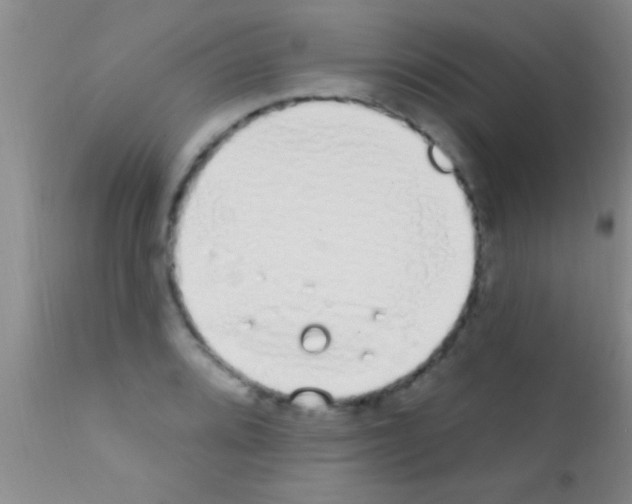 X0000111891080200909031859