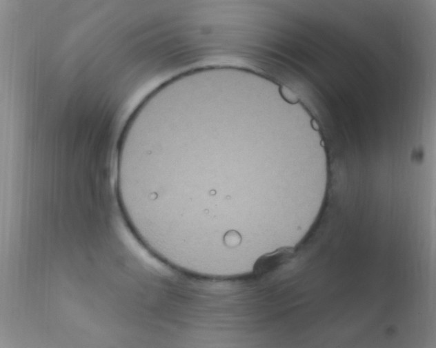 X0000111891084200909031859