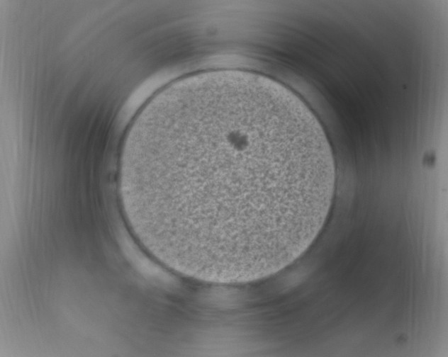 X0000111891094200909031859