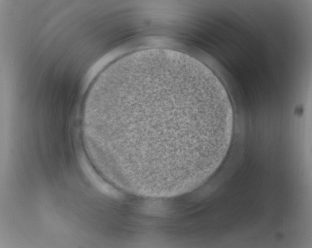 X0000111891098200909031859