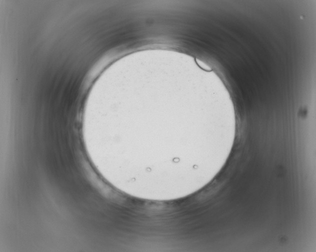 X0000111891099200909031859