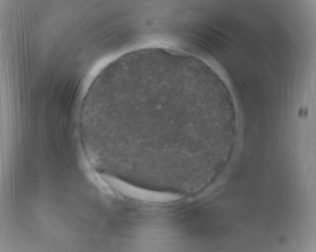 X0000111891104200909031858