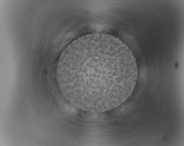 X0000111891105200909031858