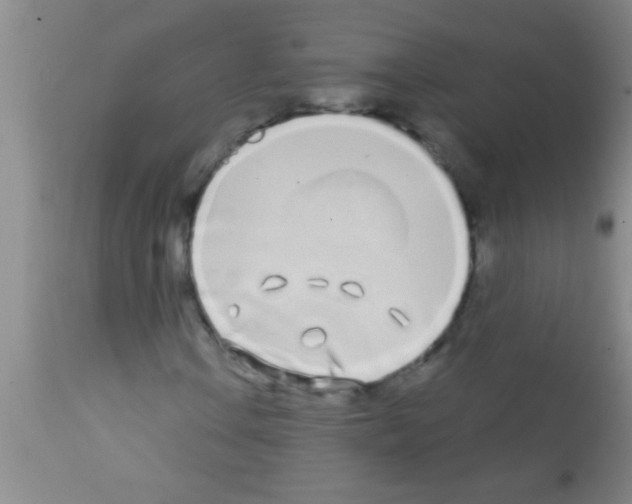 X0000111891106200909031858