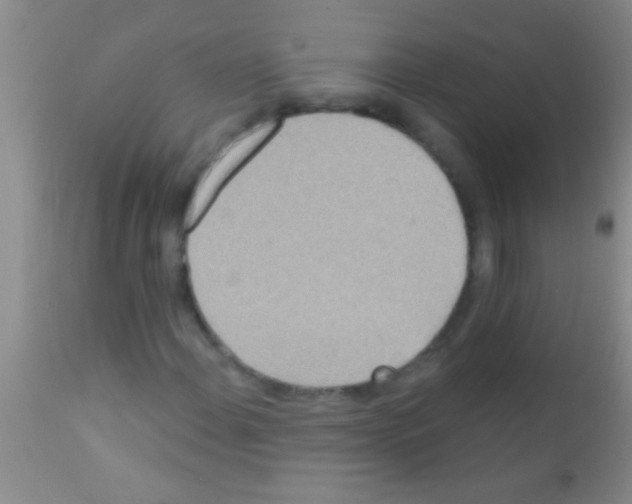 X0000111891108200909031858