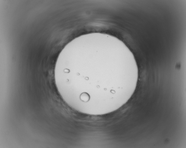 X0000111891109200909031858