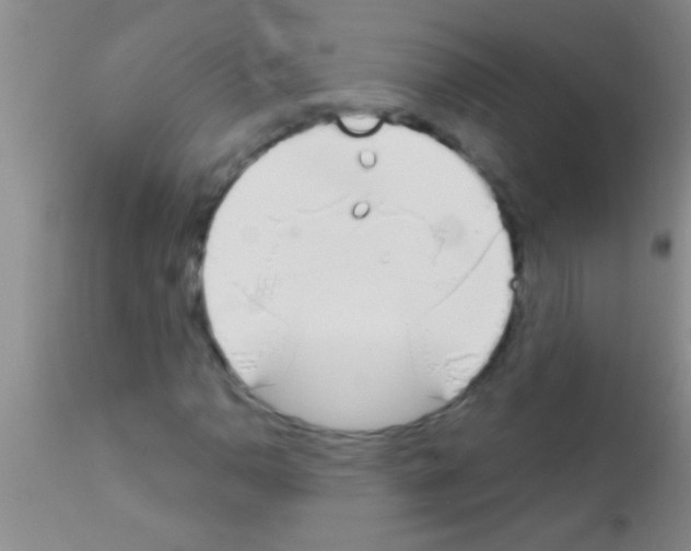 X0000111891110200909031858