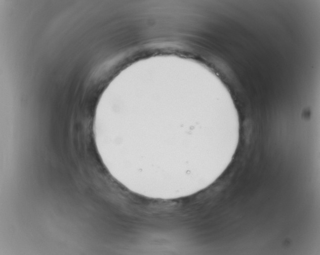 X0000111891111200909031858