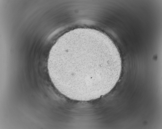 X0000111891112200909031858