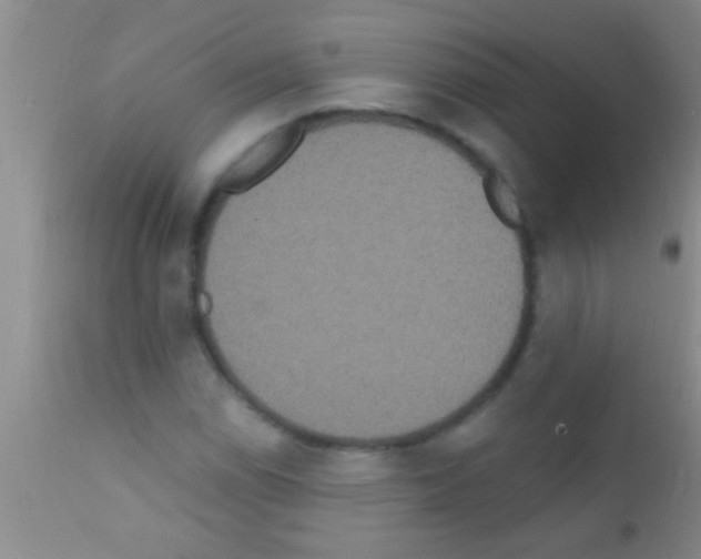 X0000111891114200909031858