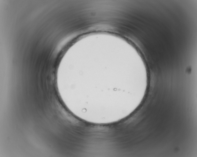 X0000111891115200909031858