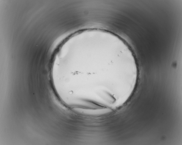 X0000111891120200909031858