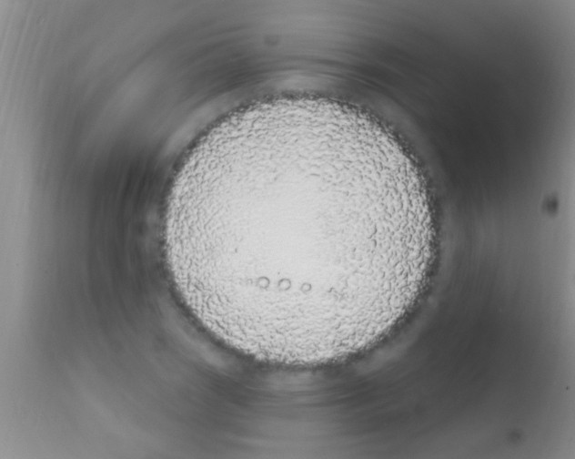 X0000111891121200909031858