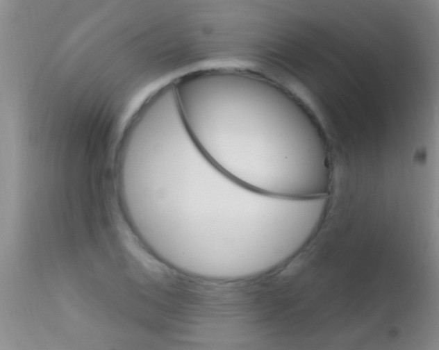 X0000111891124200909031858