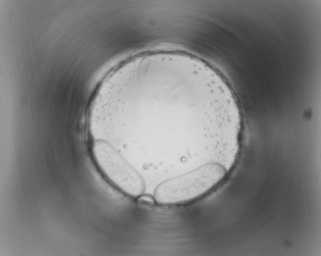 X0000111891126200909031858