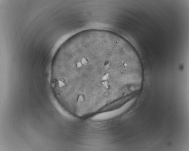 X0000111891128200909031858