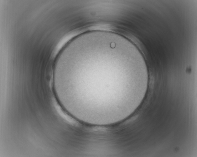 X0000111891131200909031858