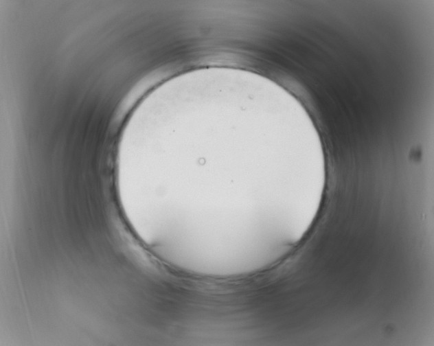 X0000111891138200909031858