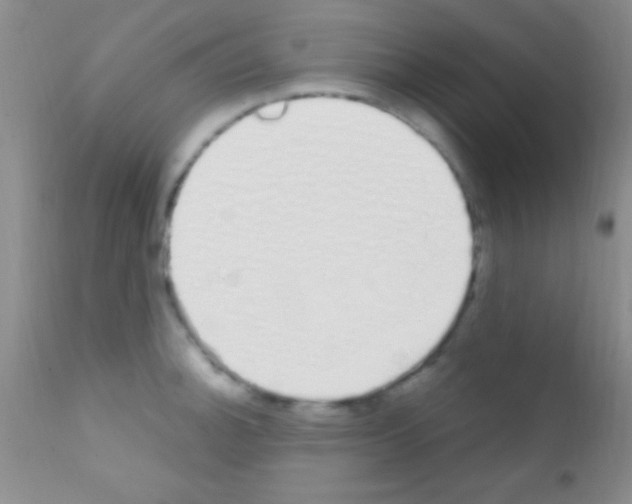 X0000111891140200909031858