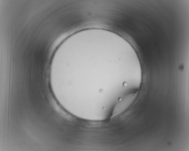 X0000111891144200909031858