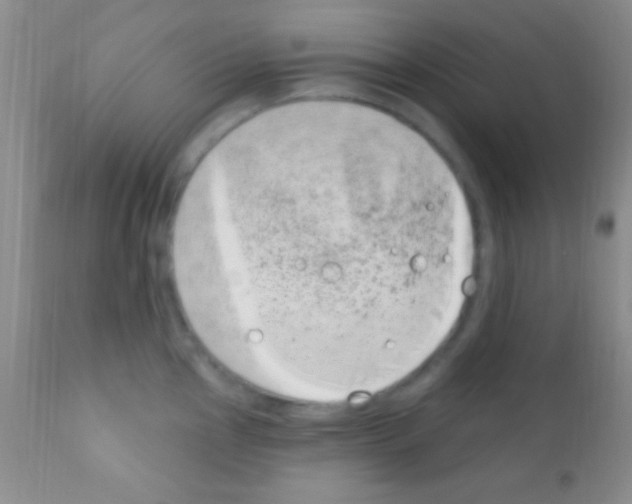 X0000111891145200909031858