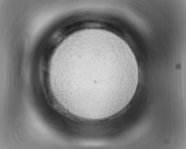 X0000111891151200909031858