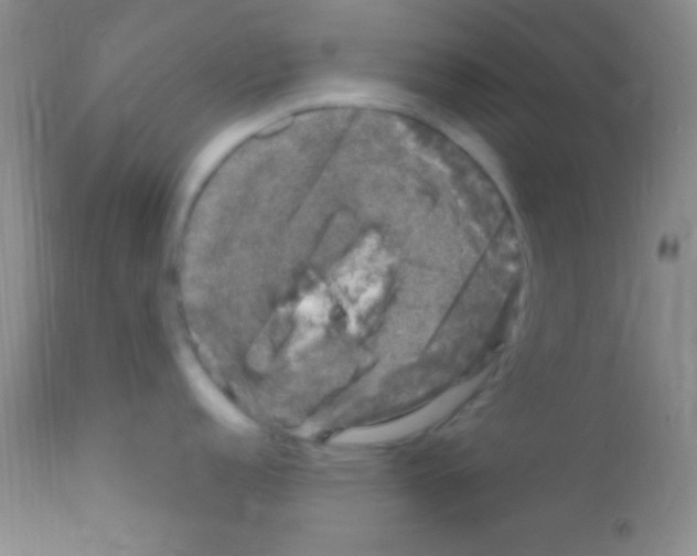 X0000111891152200909031858