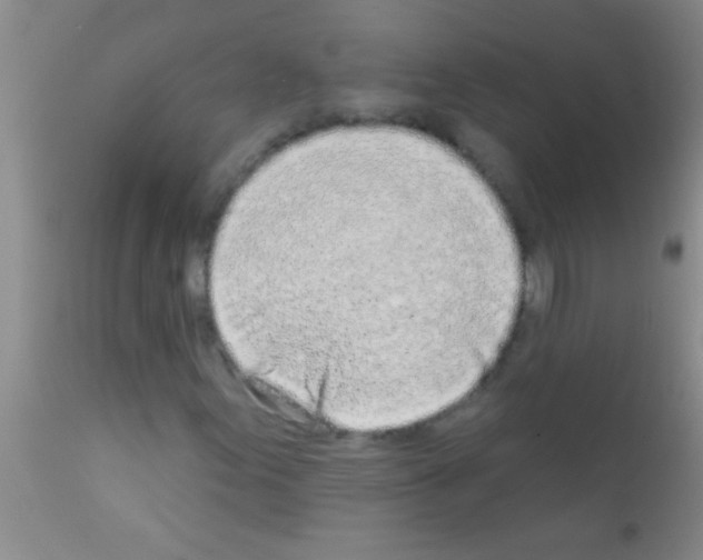 X0000111891155200909031858