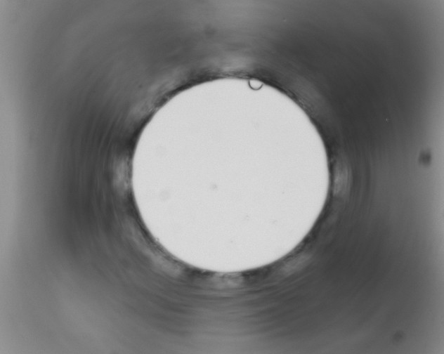 X0000111891156200909031858