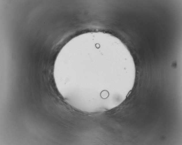 X0000111891157200909031858