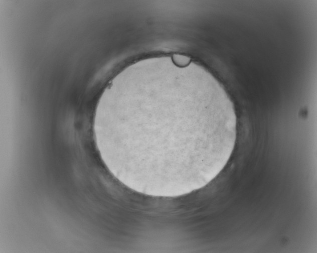 X0000111891158200909031858